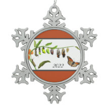 cycle de vie des papillons Monarque de Noël