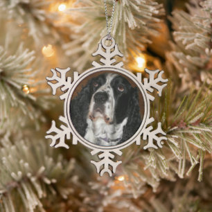 Ornement Flocon De Neige English Springer Spaniel Pet Photo