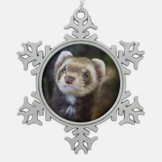 Ornement Flocon De Neige Furet