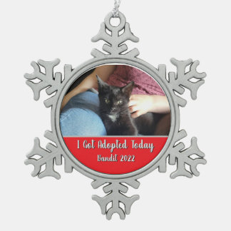 Ornement Flocon De Neige I Got Adopted Today Snowflake Framed Ornament 