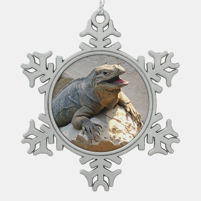 Ornement Flocon De Neige Iguane de rhinocéros (Devant)