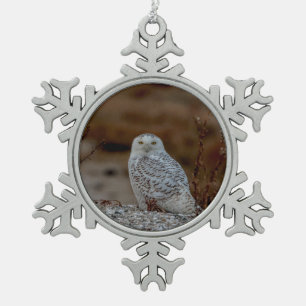 Ornement Flocon De Neige Magnifique Harfang des neiges de la côte du Connec