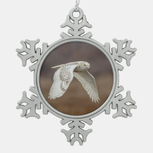 Ornement Flocon De Neige Magnifique Harfang des neiges de la côte du Connec