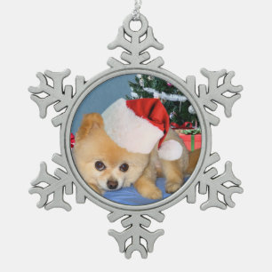 Ornement Flocon De Neige Noël, chien de Pomeranian, casquette de Père No