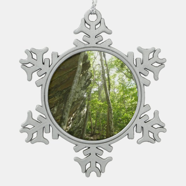 Ornement Flocon De Neige Paroi rocheuse de Frazier dans le parc national de (Devant)