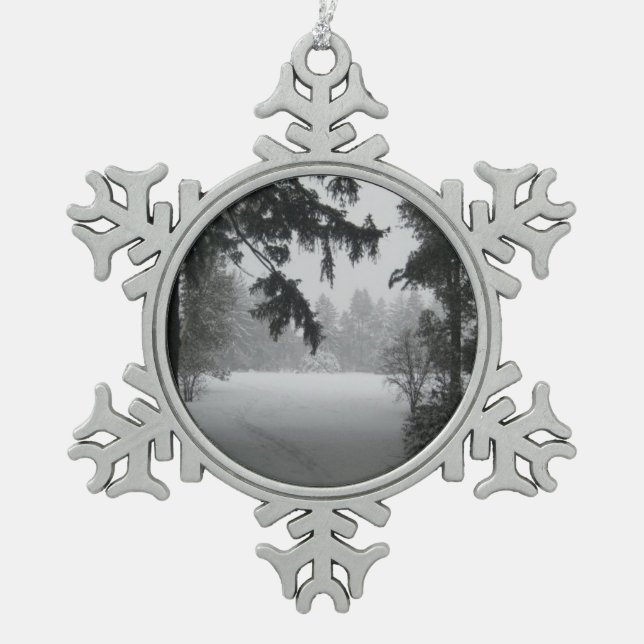Ornement Flocon De Neige Paysage de neige d'hiver (Devant)