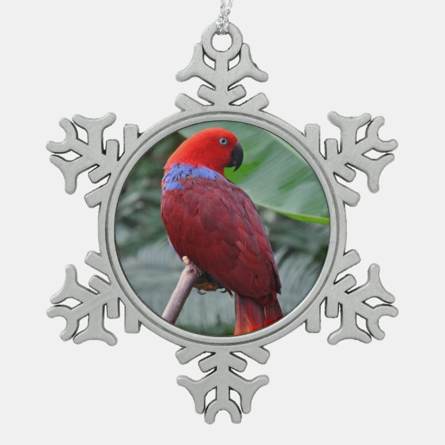 Ornement Flocon De Neige Perroquet rouge éclectique (Devant)