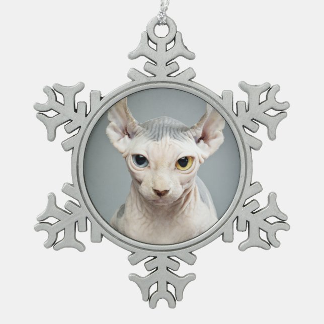 Ornement Flocon De Neige Photographie de chat de sphinx d'Elf (Devant)