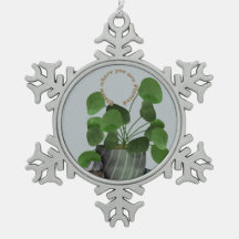 Plante argentée Minimaliste -