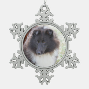 Ornement Flocon De Neige Sheltie noir et blanc
