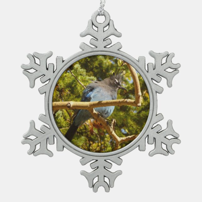 Ornement Flocon De Neige Steller's Jay au parc national Rocky Mountain (Devant)