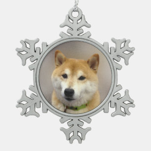 Ornement Flocon De Neige Suki est devenu Modèle photo