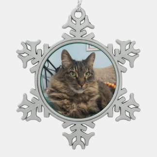Ornement Flocon De Neige Tabby Cat Christmas Ornament