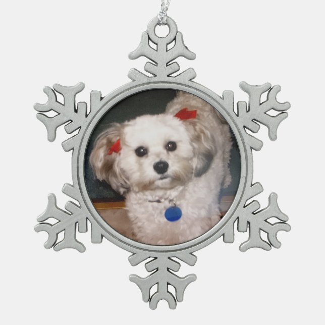 Ornement Flocon De Neige Un précieux flocon de neige (Devant)