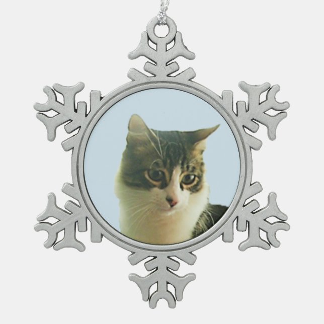 Ornement Flocon De Neige Visage de chat tabby mignon (Devant)