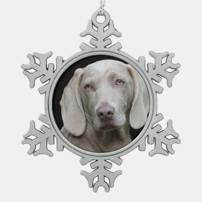 Ornement Flocon De Neige Weimaraner Silver Grey (Devant)