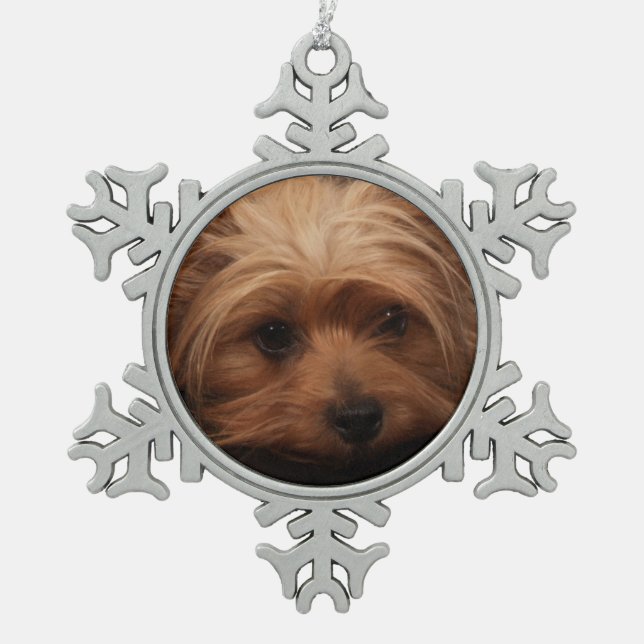 Ornement Flocon De Neige Yorkie Classic Pout (Devant)