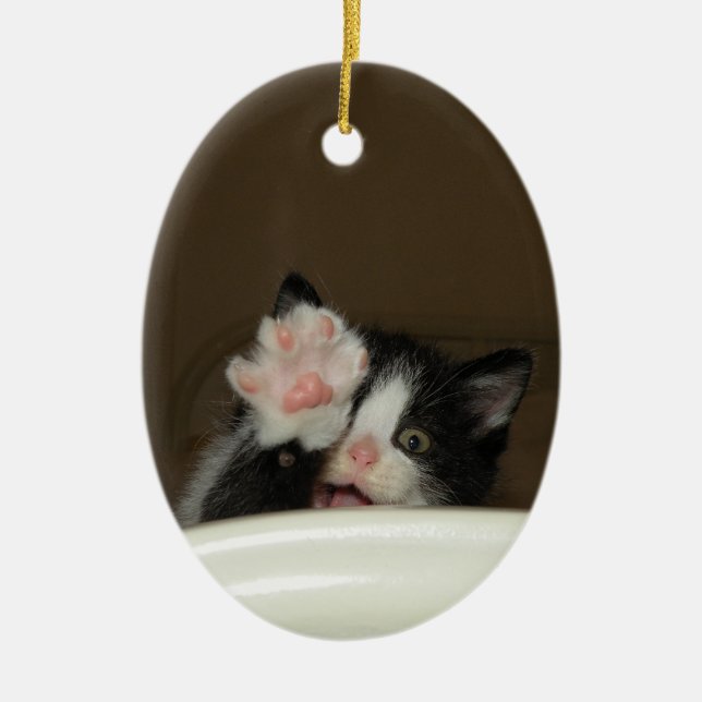 Ornement "Hi Kitten" (Devant)