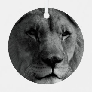 Ornement Lion noir et blanc