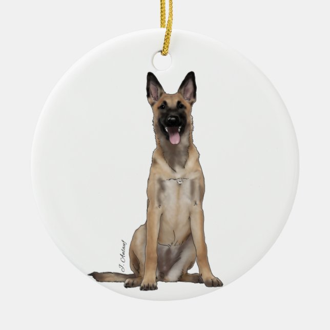 Ornement malinois belge (Devant)
