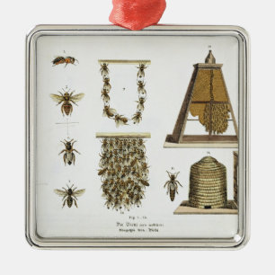 Ornement Métallique Abeilles et apiculture, "du jeune terrien", p