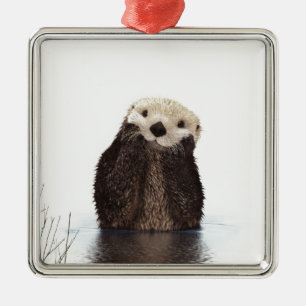 Ornement Métallique adorable animal de loutre moelleuse mignonne