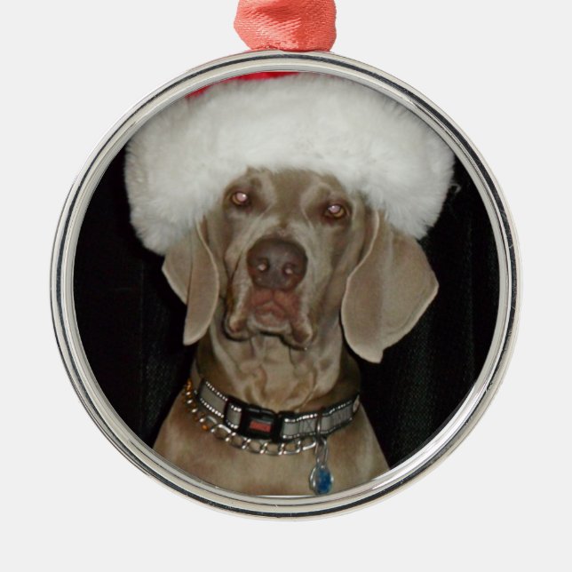 Ornement Métallique Aide de vacances de Weimaraner (Devant)