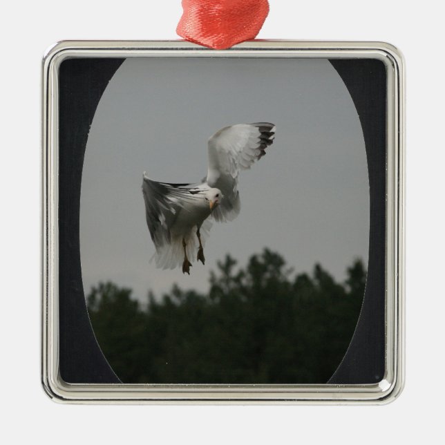 Ornement Métallique Ajouter une photo grand cadre ovale (noir) (Devant)