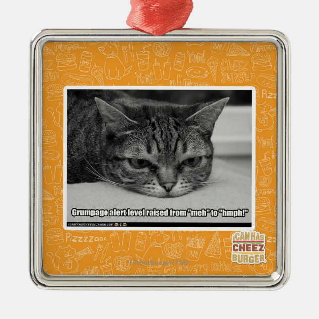 Ornement Métallique Alerte de Grumpage (Devant)