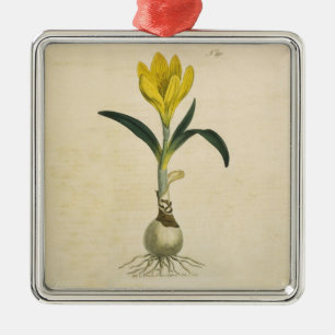 Ornement Métallique Amaryllis Tulip Jardin Botanique Fleur