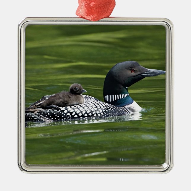 Ornement Métallique Amérique du Nord, Canada, Colombie-Britannique, La (Devant)