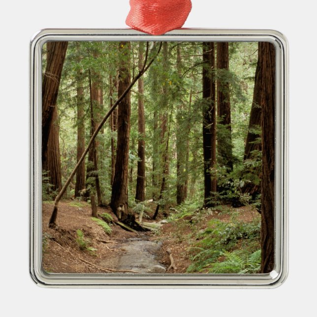 Ornement Métallique Amérique du Nord, États-Unis, Californie, Big Sur, (Devant)