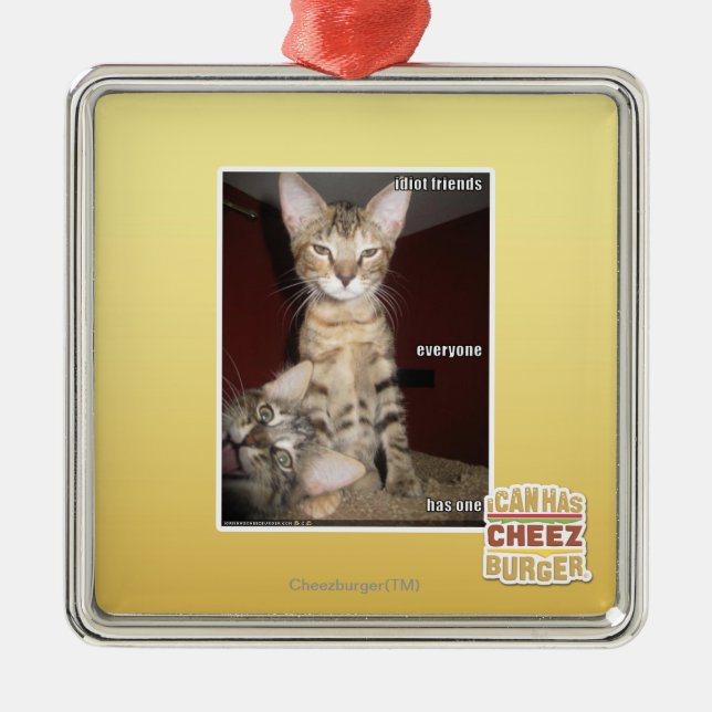 Ornement Métallique Amis d'idiot (Devant)