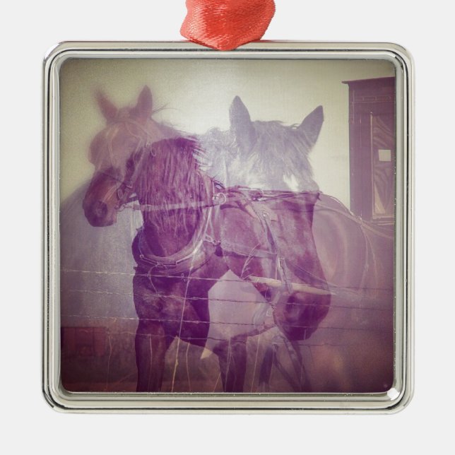 Ornement Métallique Amish chevaux collage numérique (Devant)