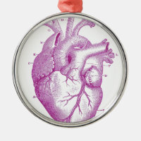 Anatomie vintage pourpre de coeur