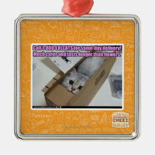Ornement Métallique Appelez 1-800-LOLCATS