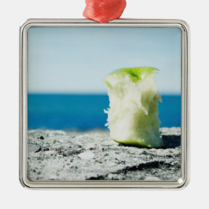 Ornement Métallique Apple creusent dans la saleté