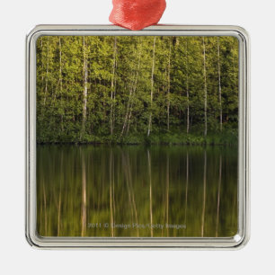 Ornement Métallique Arbres reflétés dans l'eau