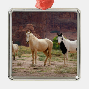 Ornement Métallique Arizona, réserve indienne navajo, Chinle,