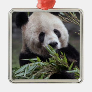 Ornement Métallique Asie, Chine Chongqing. Panda géant