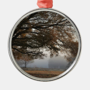 Ornement Métallique Atteindre