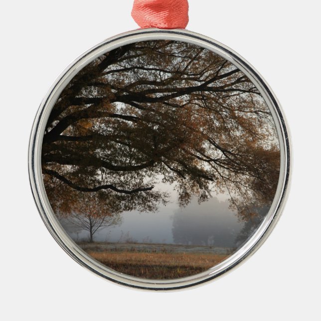 Ornement Métallique Atteindre (Devant)