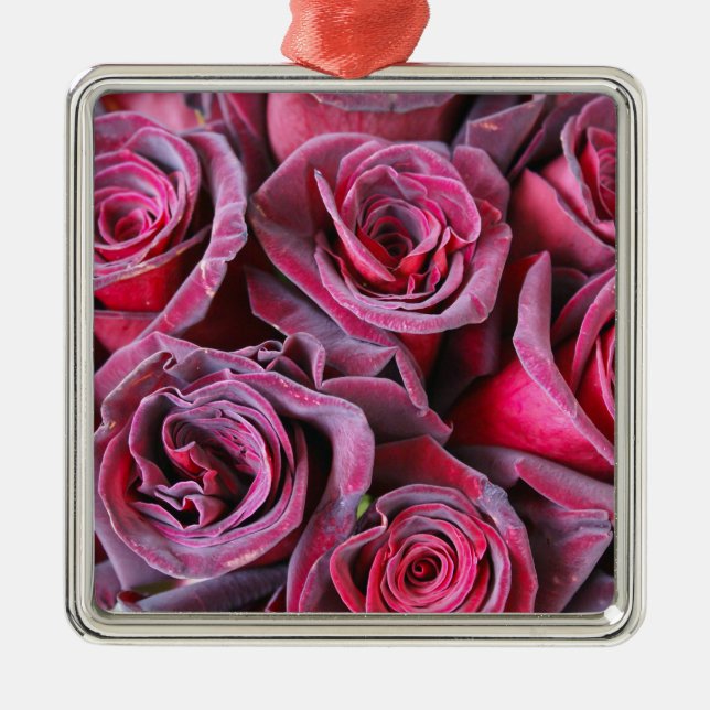 Ornement Métallique Beauté Velvet (Devant)