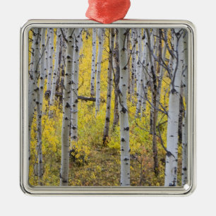 Ornement Métallique Bosquet de trembles en couleur d'automne maximale