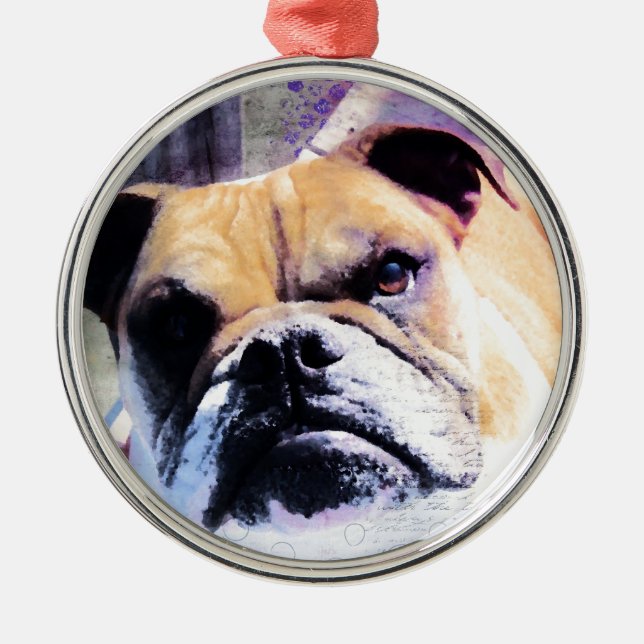 Ornement Métallique Bulldog (Devant)