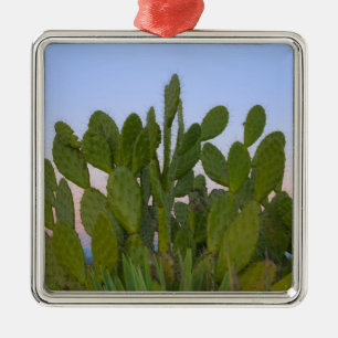 Ornement Métallique Cactus et sisal en forêt sèche