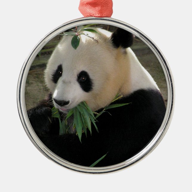 Ornement Métallique Câlins de Panda (Devant)