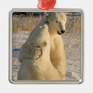 Ornement Métallique Canada, Manitoba, Baie d'Hudson, Churchill.