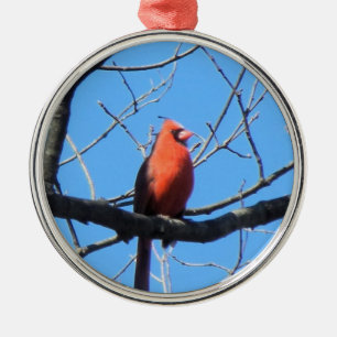 Ornement Métallique Cardinal