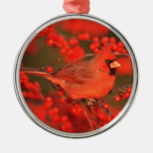 Ornement Métallique Cardinal rouge du Nord mâle, IL